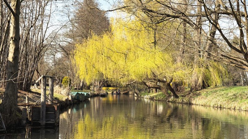 IMG-20260402-WA0017(1)