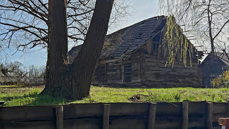 IMG-20260402-WA0019(1)(1)