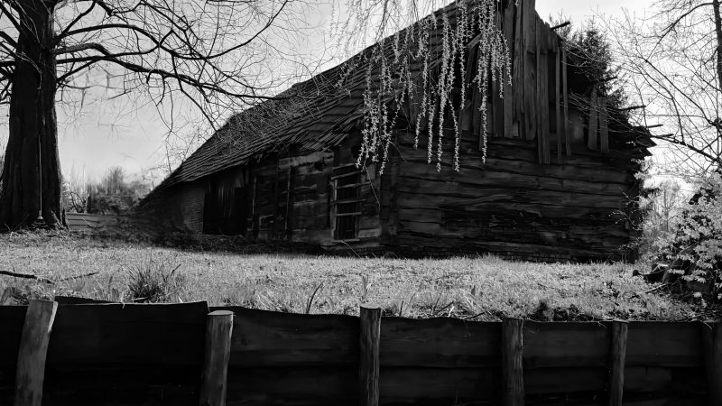 IMG-20260402-WA0020(1)(1)