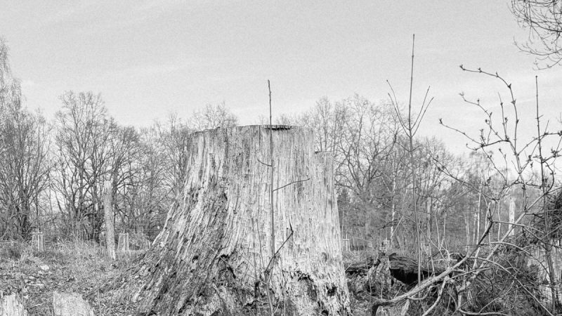 IMG-20260402-WA0022(1)