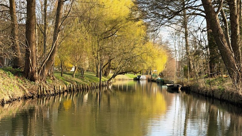 IMG-20260402-WA0023(1)